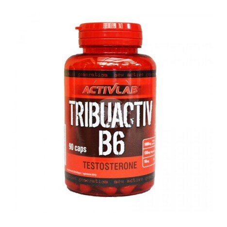 Activlab Tribuactiv + B6 580 mg 90 Capsule